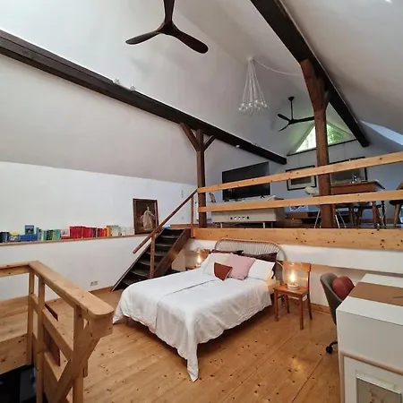 Loft In Umgebauter Scheune Apartman Wierschem